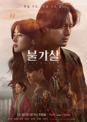 Korean Drama 지리산 / Bulgasal: Immortal Souls / Immortality