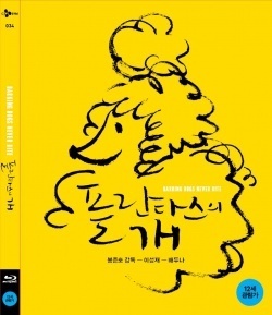 Korean Movie 