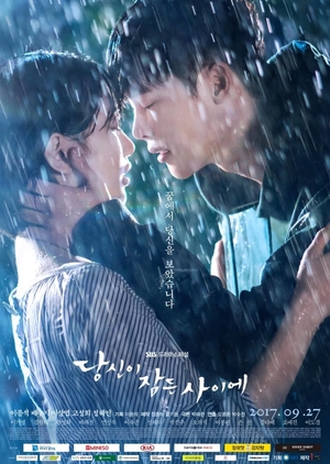 Korean Drama 당신이 잠든 사이에 / While You Were Sleeping