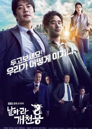 Korean Drama 날아라 개천용/ Fly Dragon / Fly from Rags to Riches / Delayed Justice