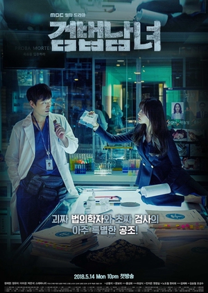 Korean Drama 검법남녀 / Investigation Couple / Partners for Justice