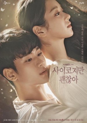 Korean Drama 사이코지만 괜찮아 / It’s Okay to Not Be Okay / Psycho But It’s Okay