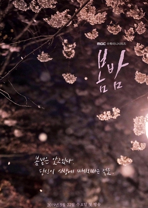 Korean Drama 봄밤 / One Spring Night